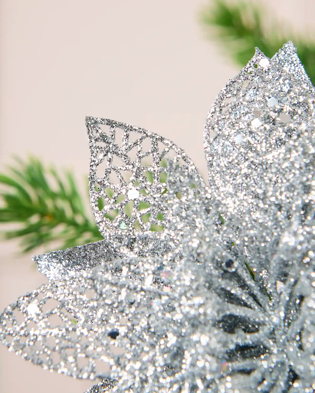 Extreme close-up of Silver glitter poinsettia petals with an open, decorative glittered texture.
