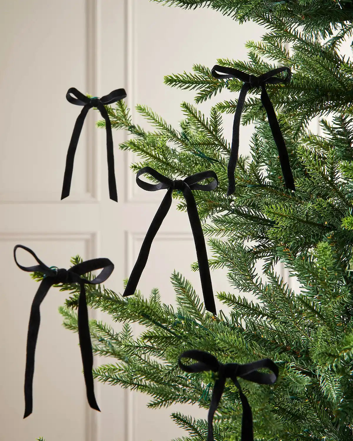 A set of five black velvet bows on the edge of Christmas tree branches in front of a white background