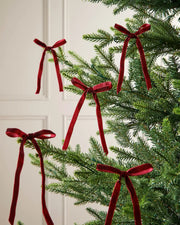 A set of five burgundy velvet bows on the edge of Christmas tree branches in front of a white background