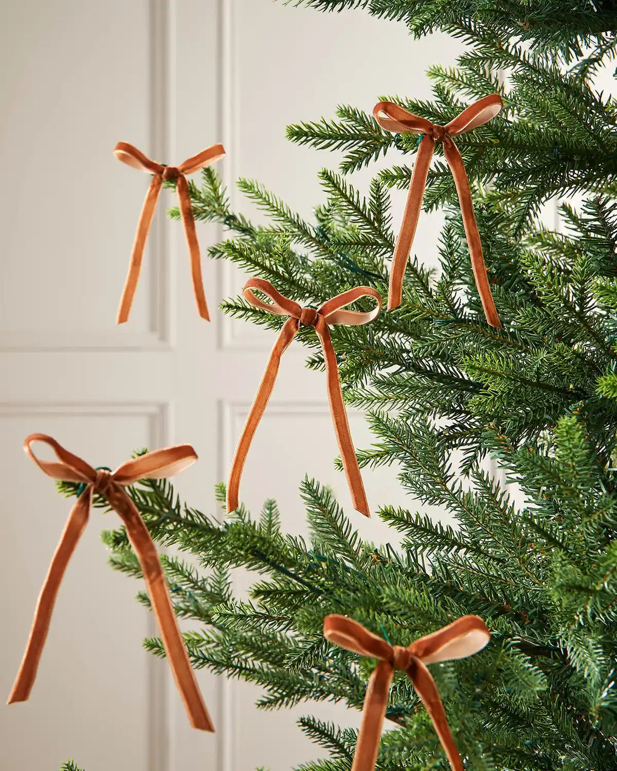 A set of five espresso velvet bows on Christmas tree branches in front of a white background