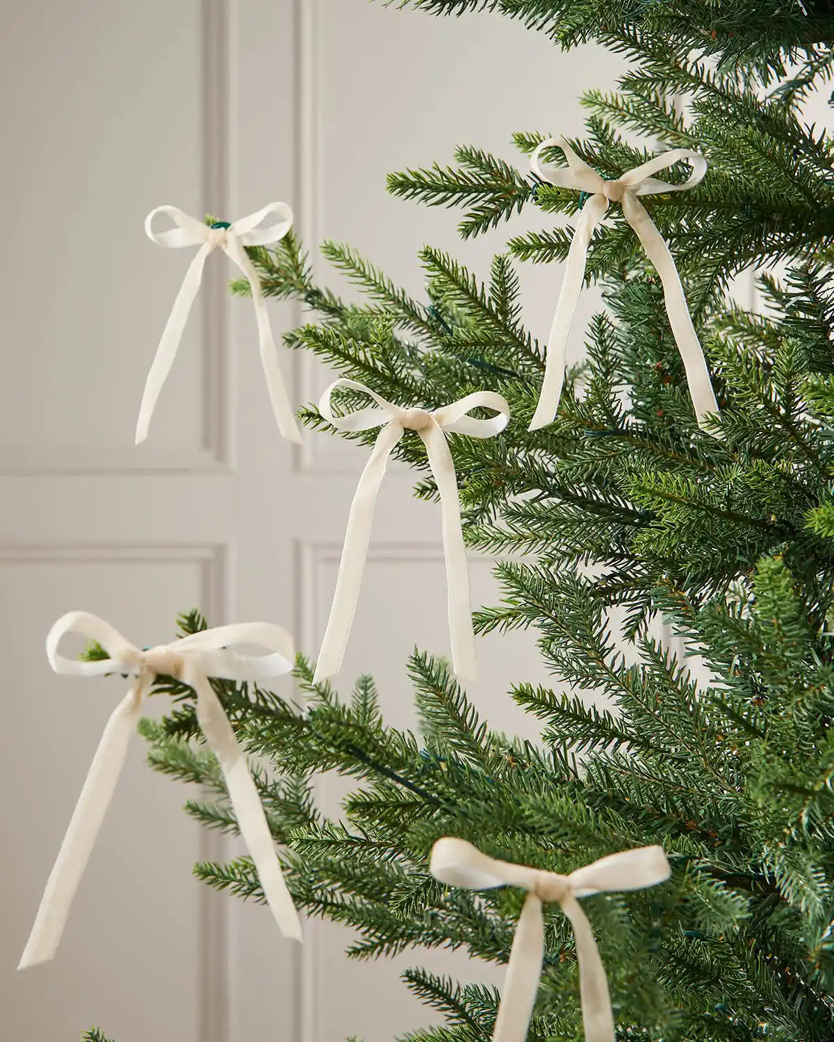 A set of five latte velvet bows on the edge of Christmas tree branches in front of a white background