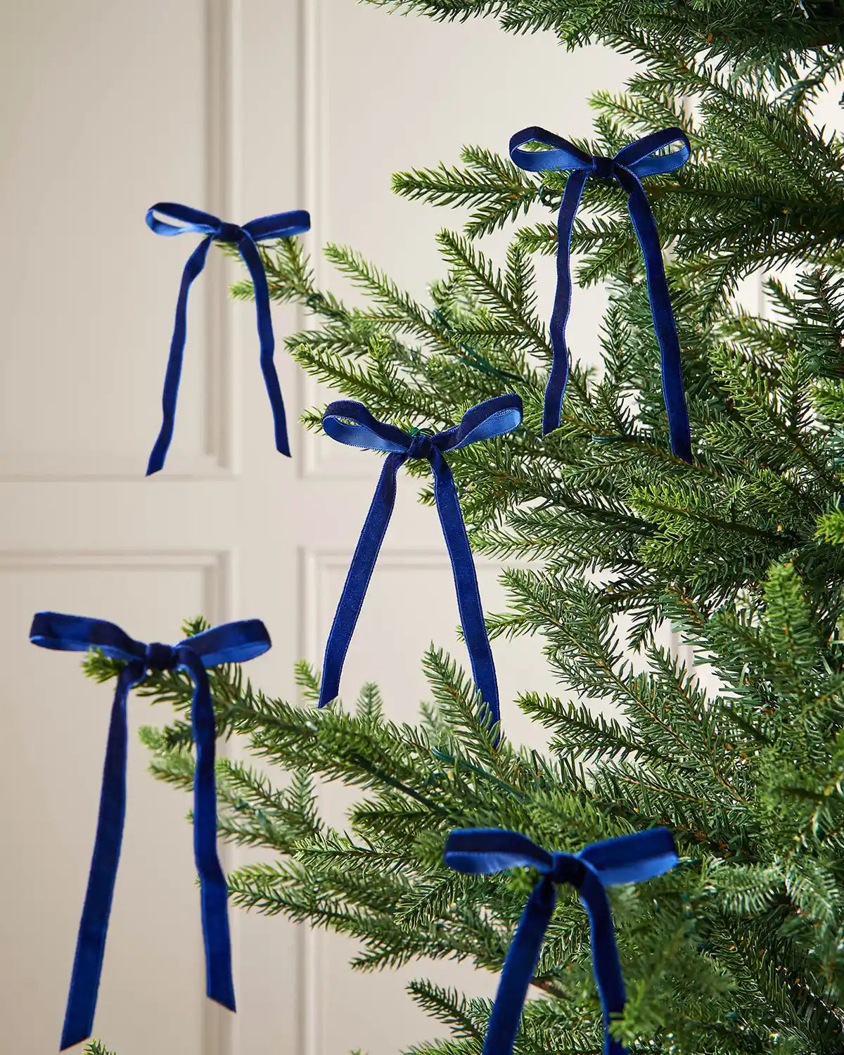A set of five navy blue velvet bows on the edge of Christmas tree branches in front of a white background
