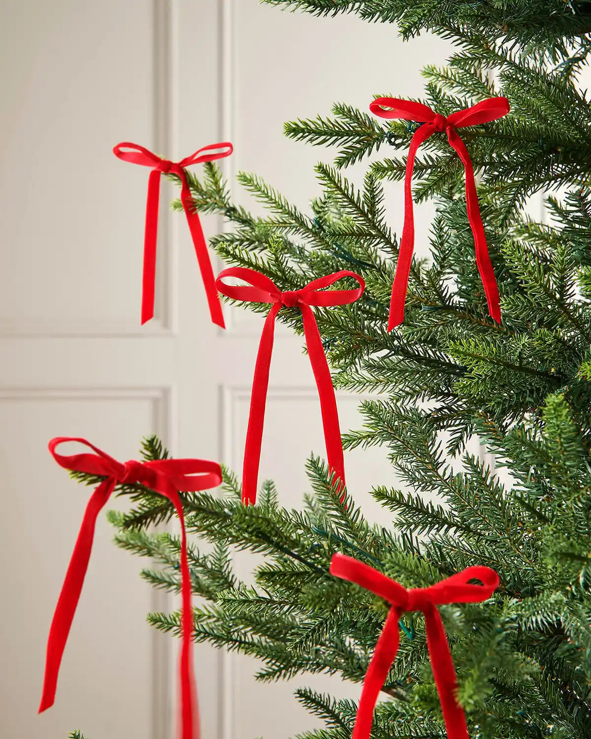 A collection of five velvet bows on the end of Christmas tree branches