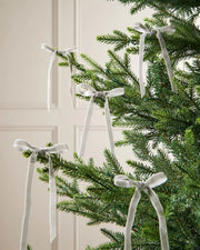 A group of five silver velvet bows on the edge of Christmas tree branches in front of a white background
