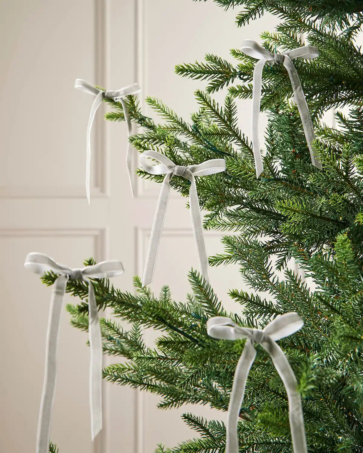 A group of five silver velvet bows on the edge of Christmas tree branches in front of a white background