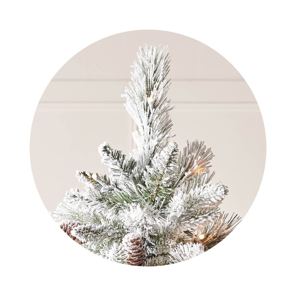 Frosted Trees