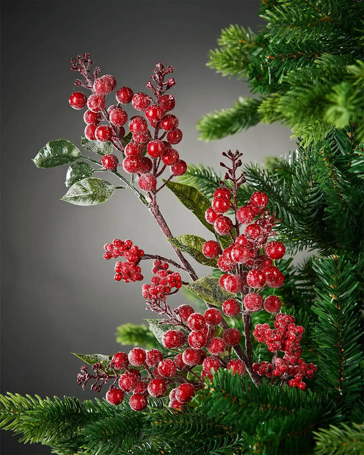 Full image of frosted red berries spray attached to Christmas tree in front of grey wall background