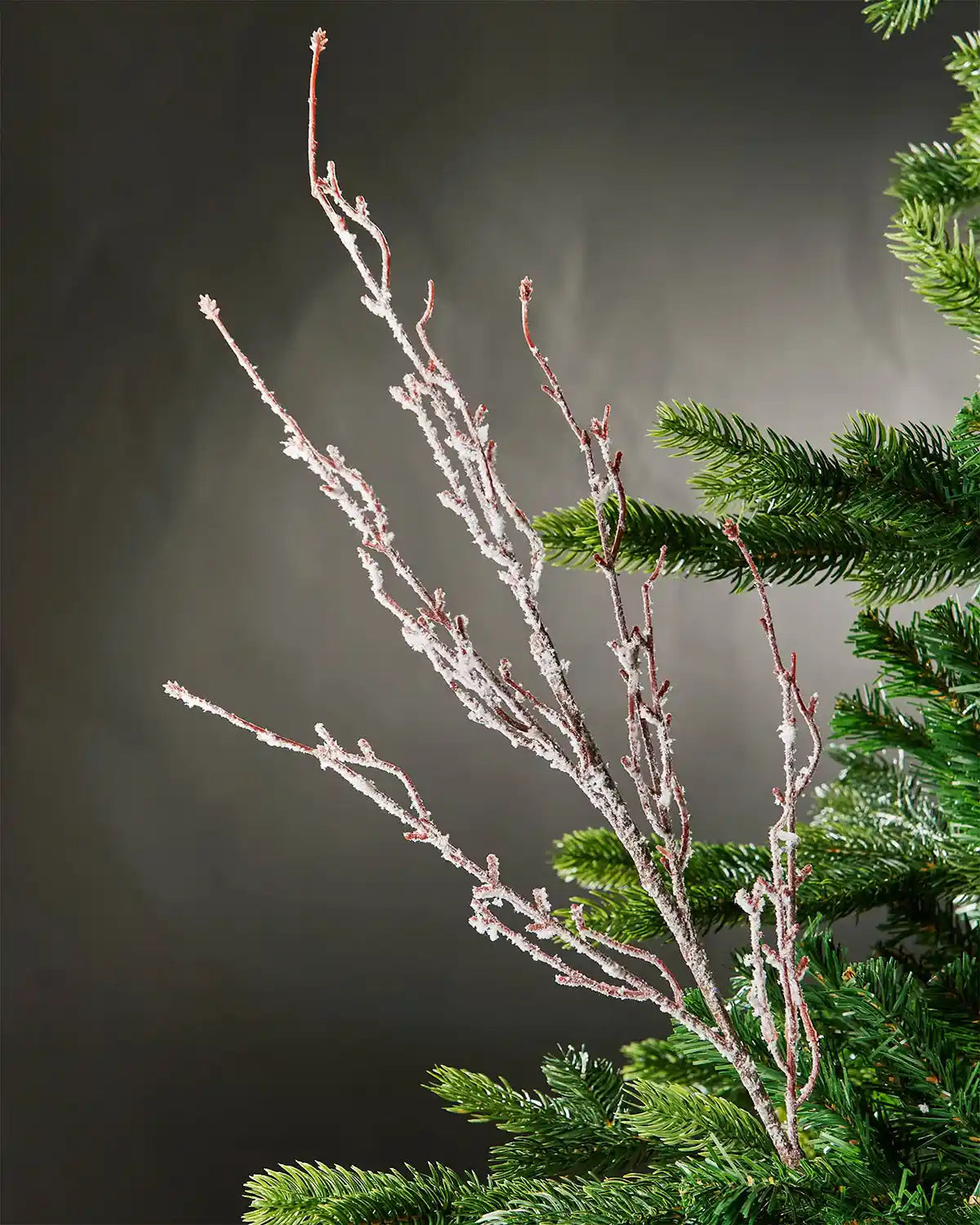 Full image of the snow-flocked twig spray attached to Christmas tree in front of grey wall background