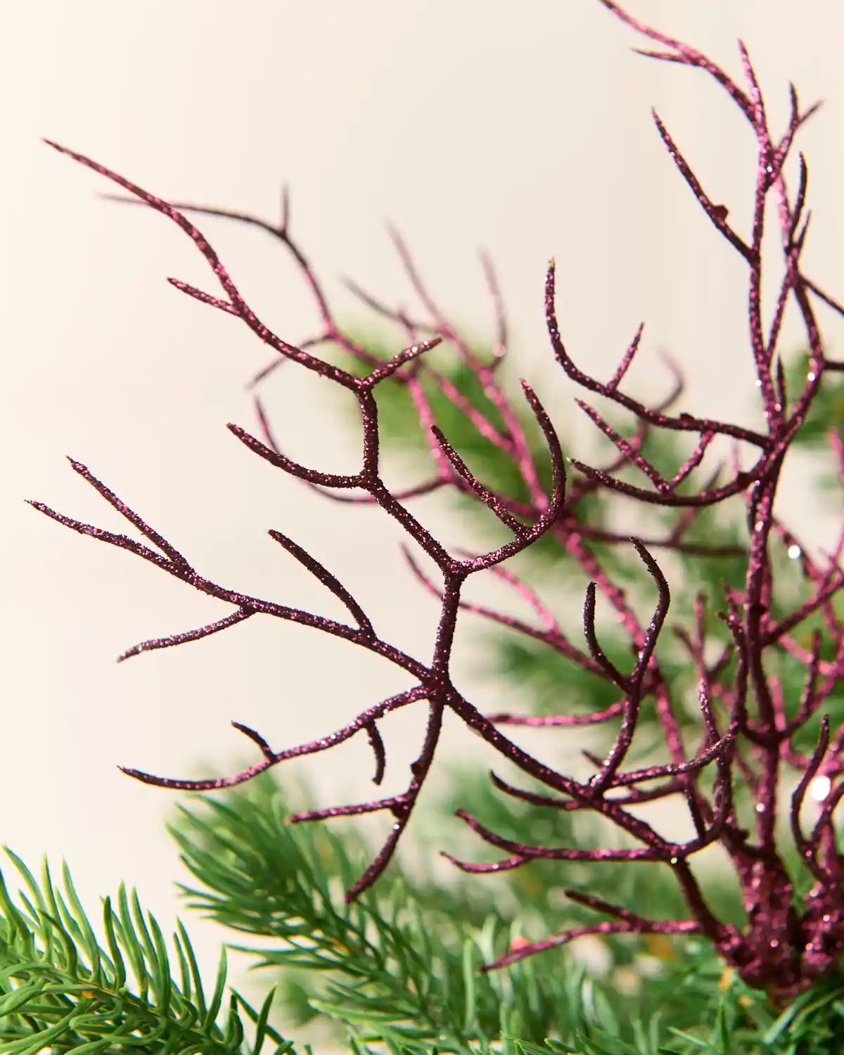 Glittery coral branch holiday decoration in a purple colour, styled with green pine needles against a soft cream background.