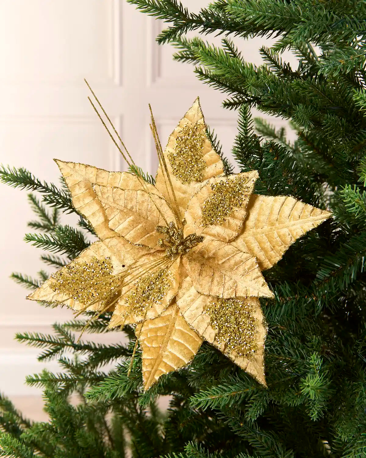 Gold Artificial Poinsettia Flower placed into Christmas tree branches and glitter on 5 petals with a plain cream blurred background