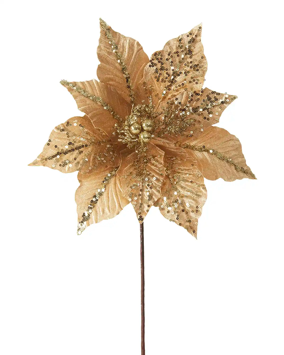 Gold Poinsettia flower with gold glitter against a white background