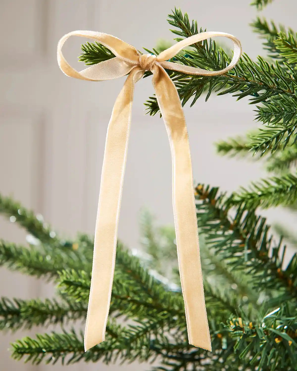 A single gold velvet bow on the edge of a Christmas tree branch with a white background