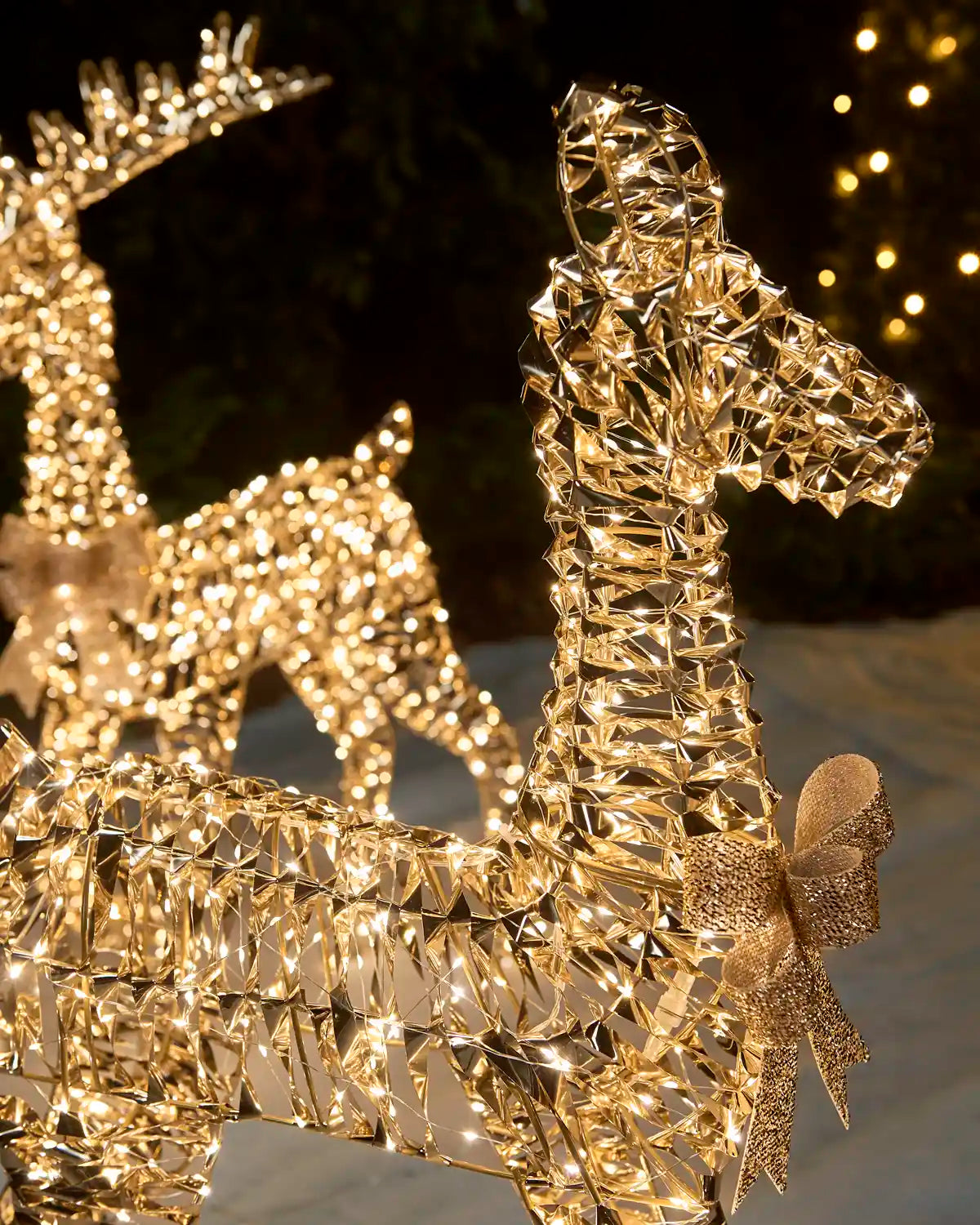 Gold wire-frame reindeer holiday light decorations with warm white lights, featuring a large glittery gold bow on the front deer, photographed outdoors at night.