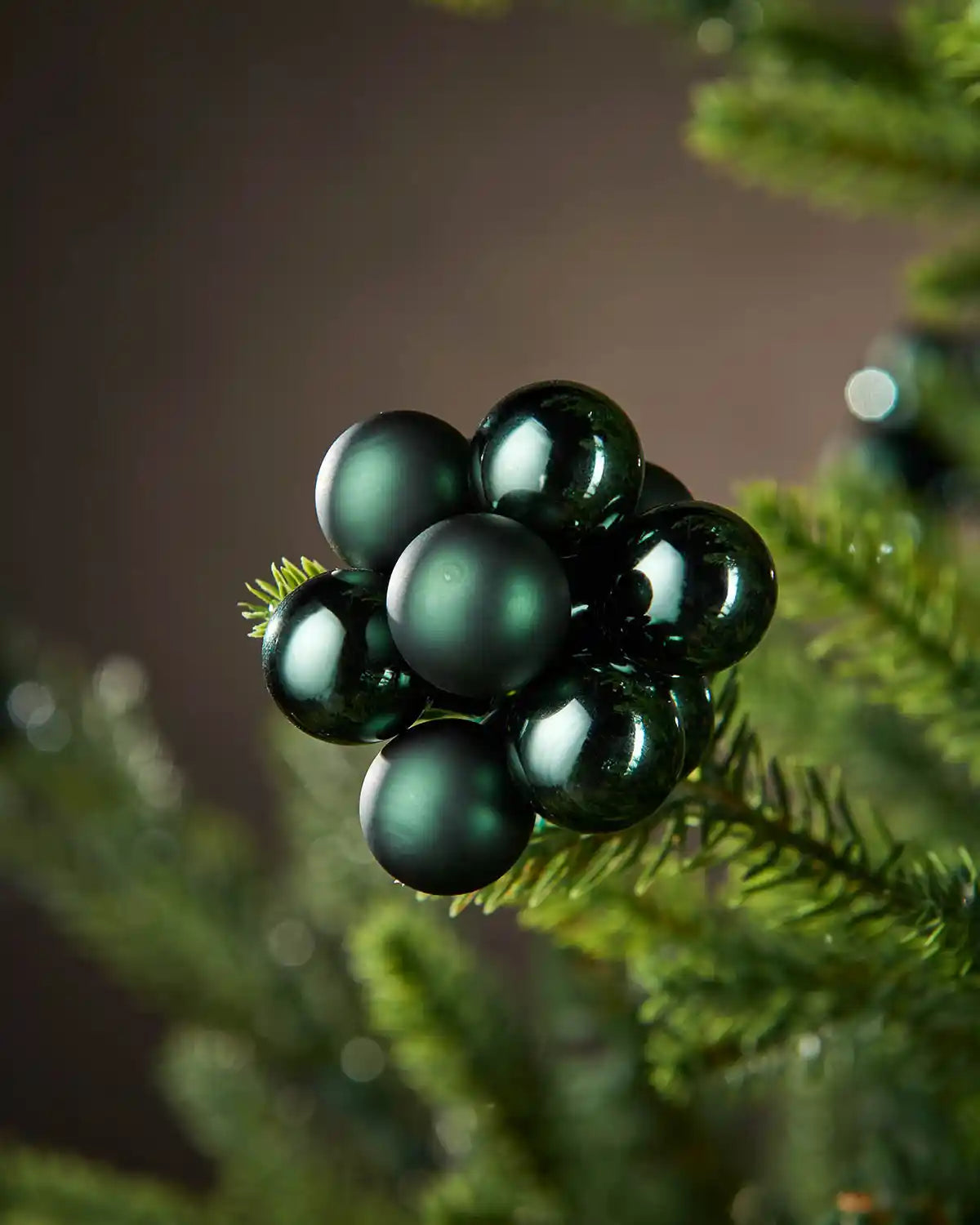 Green decorative berries on a branch against a blurred background