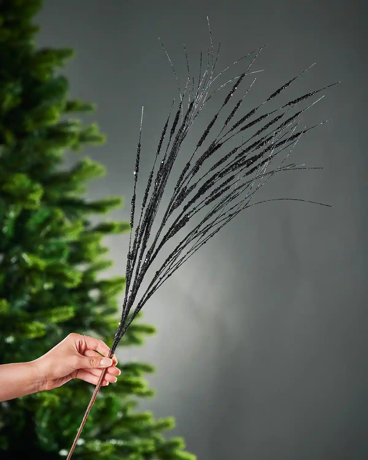 A hand holding the stem of 100cm black glitter wispy spray stem in front of Christmas tree and grey background