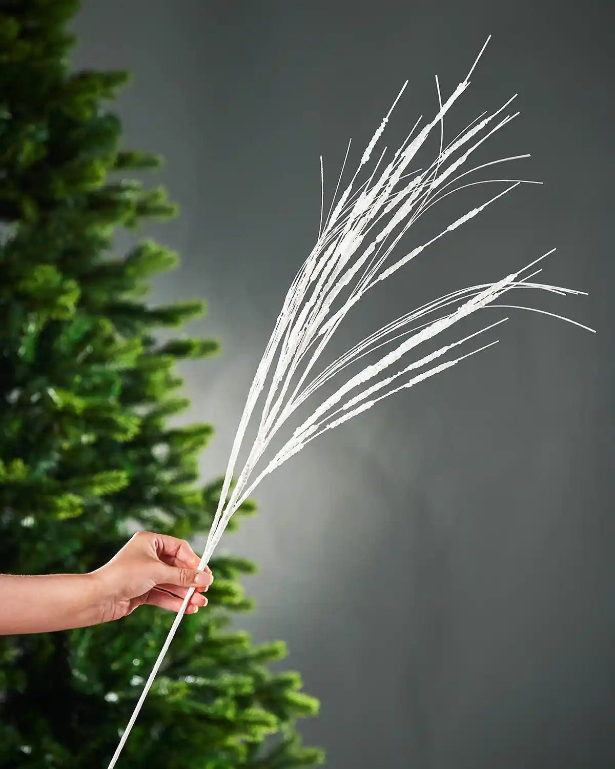 A hand holding 100cm white glitter wispy tree spray in front of Christmas tree and grey background