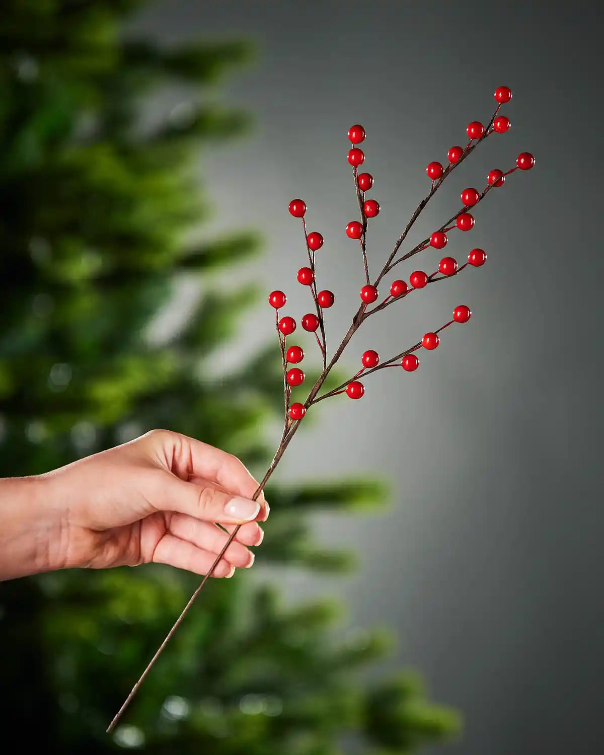 Hand holding a branch with red berries against a blurred green and grey background
