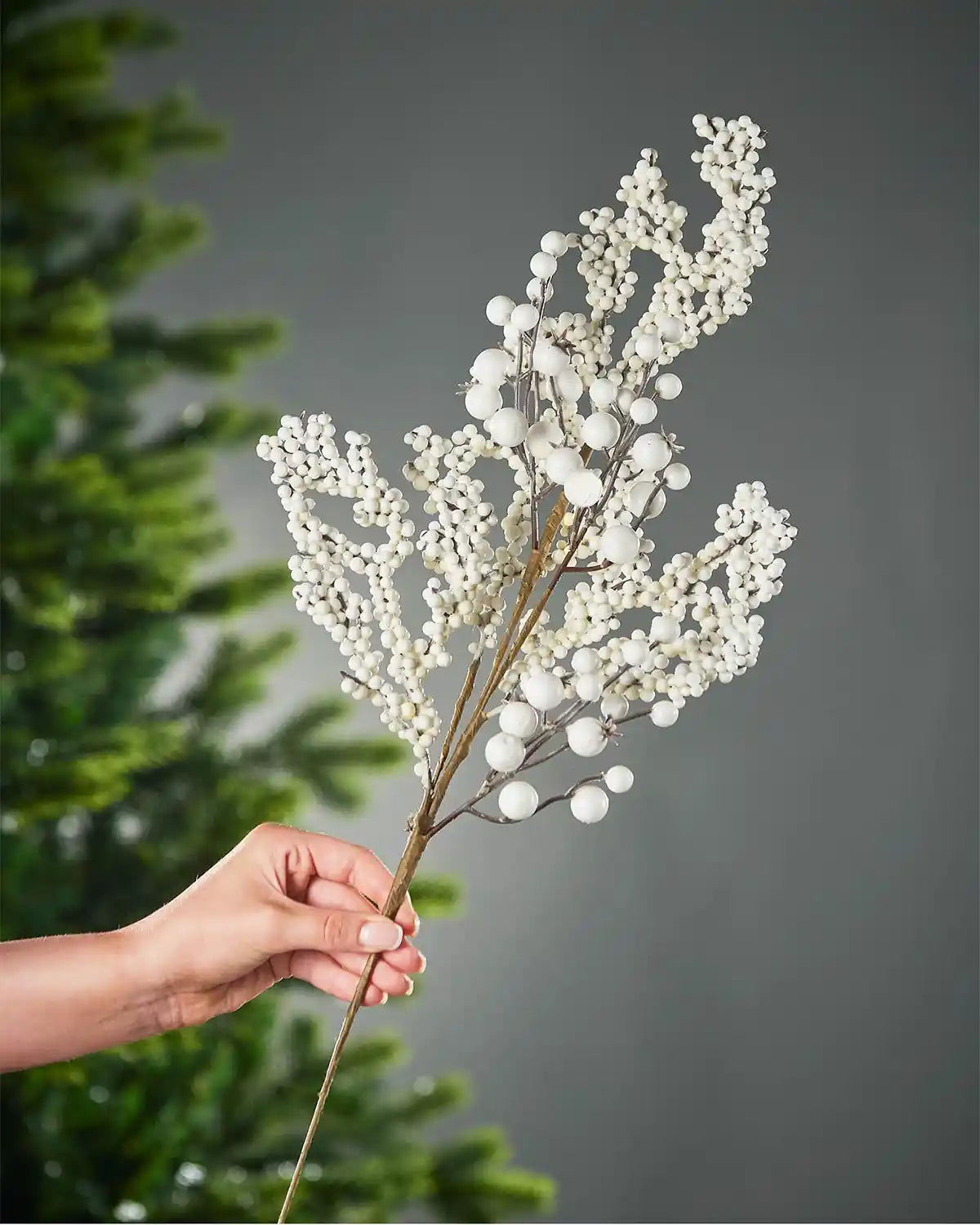 Hand holding a decorative branch with white berries against a grey background