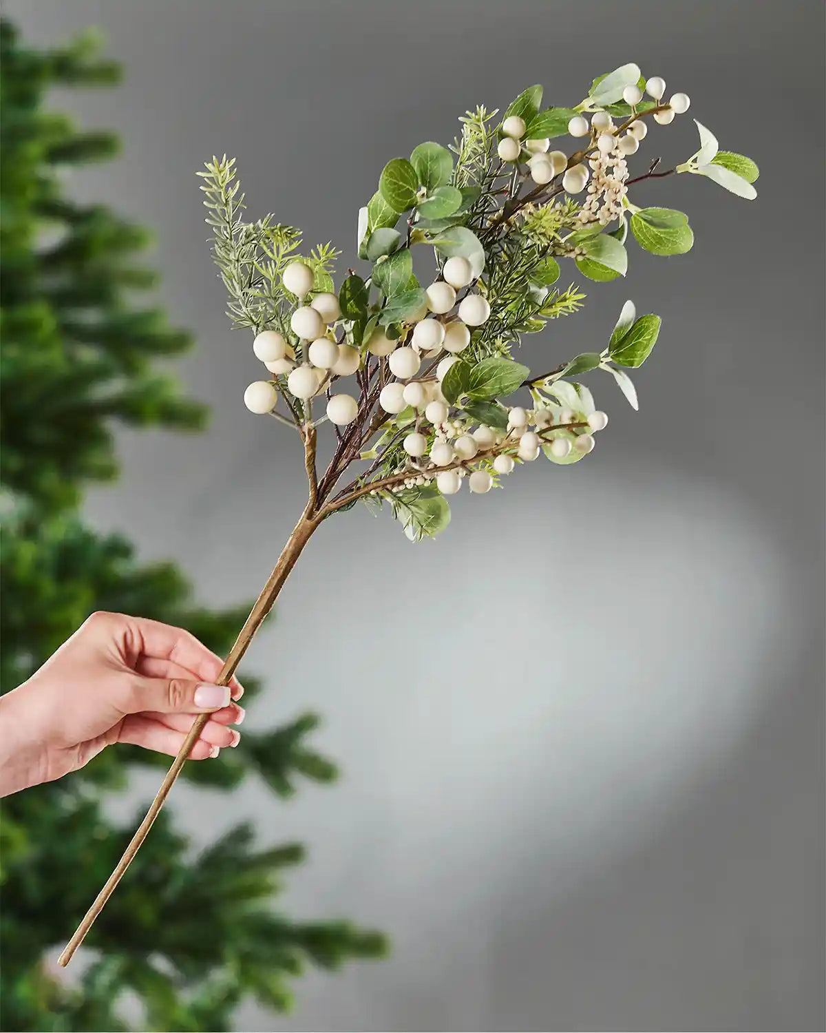 Hand holding a mistletoe branch with green leaves and white berries against a blurred background