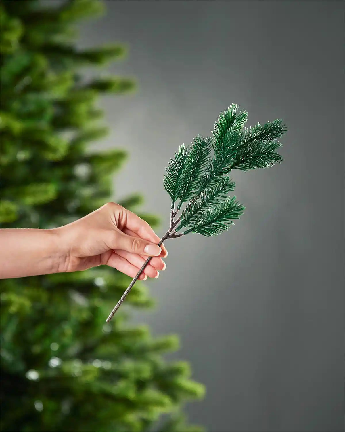 Hand holding a small branch of greenery against a gray background