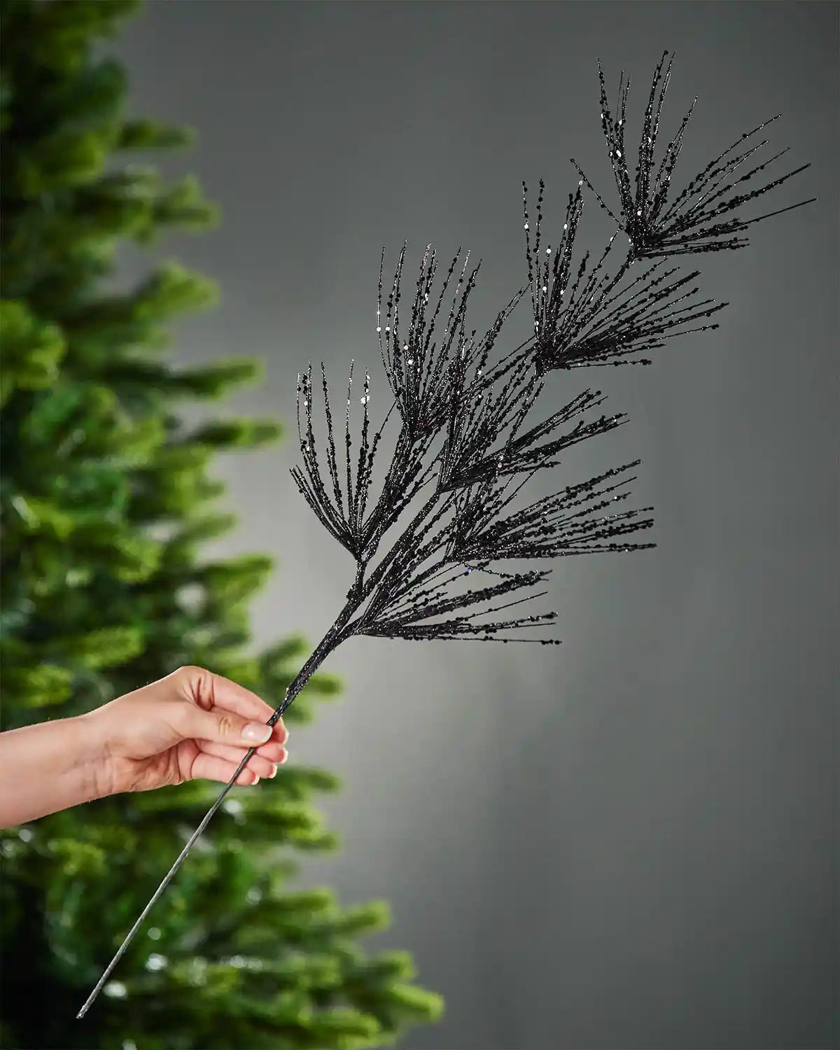 A hand holding the black glitter firework spray in front of Christmas tree and grey wall