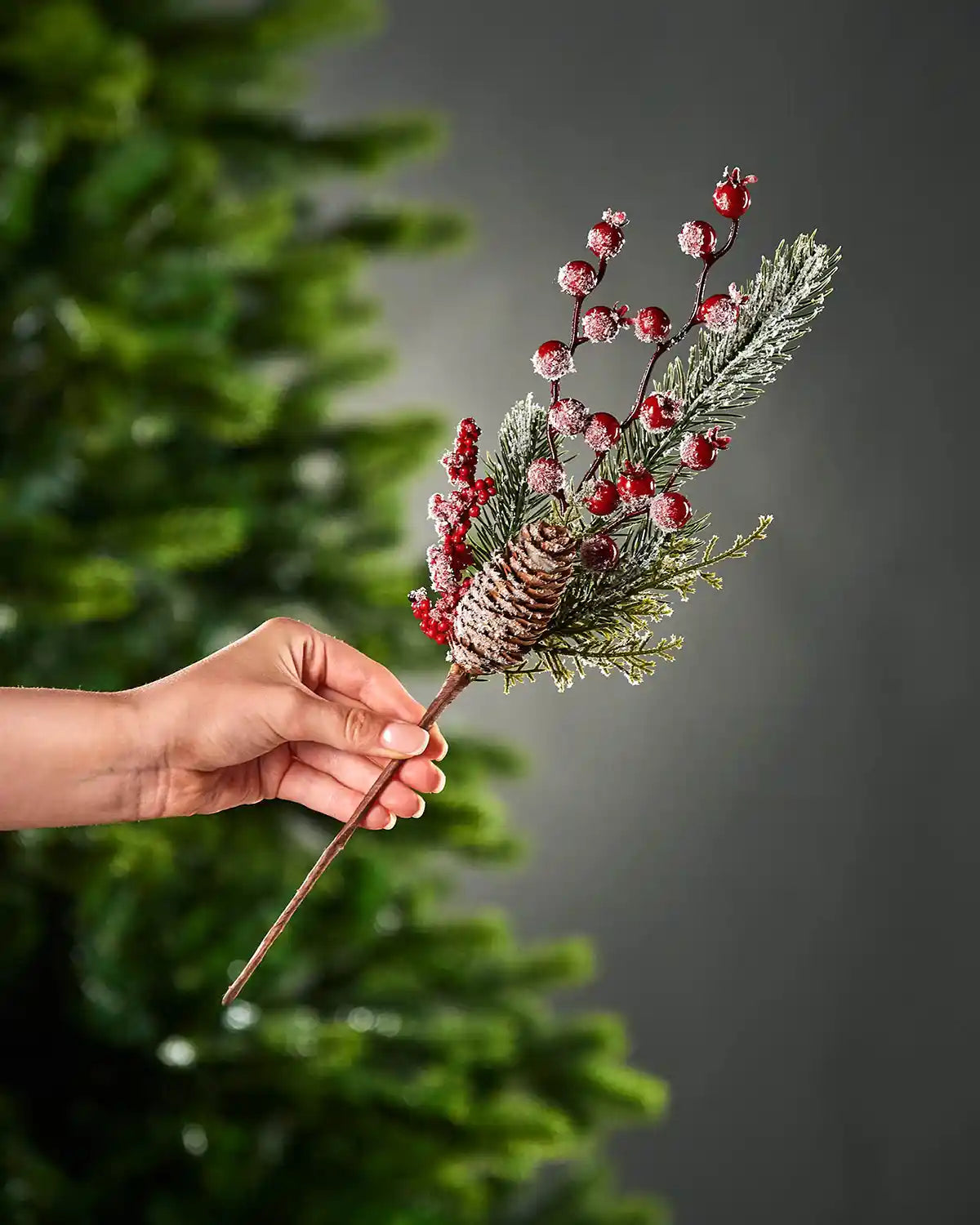 A hand holding the brown stem of frosted red berries and pinecone pick in front of a Christmas tree and grey wall background