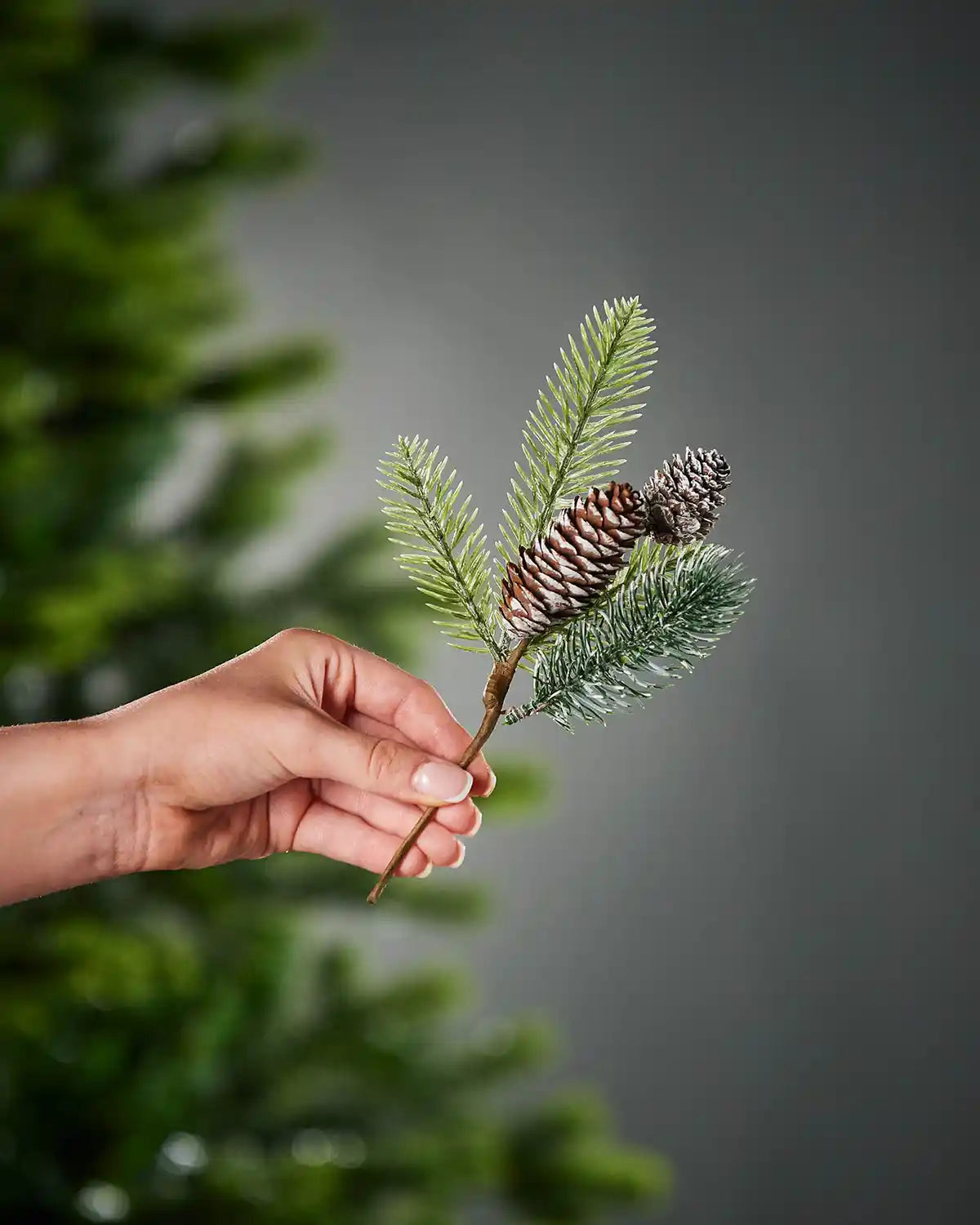 Hand holding green frosted ranch with pine cones against a grey background