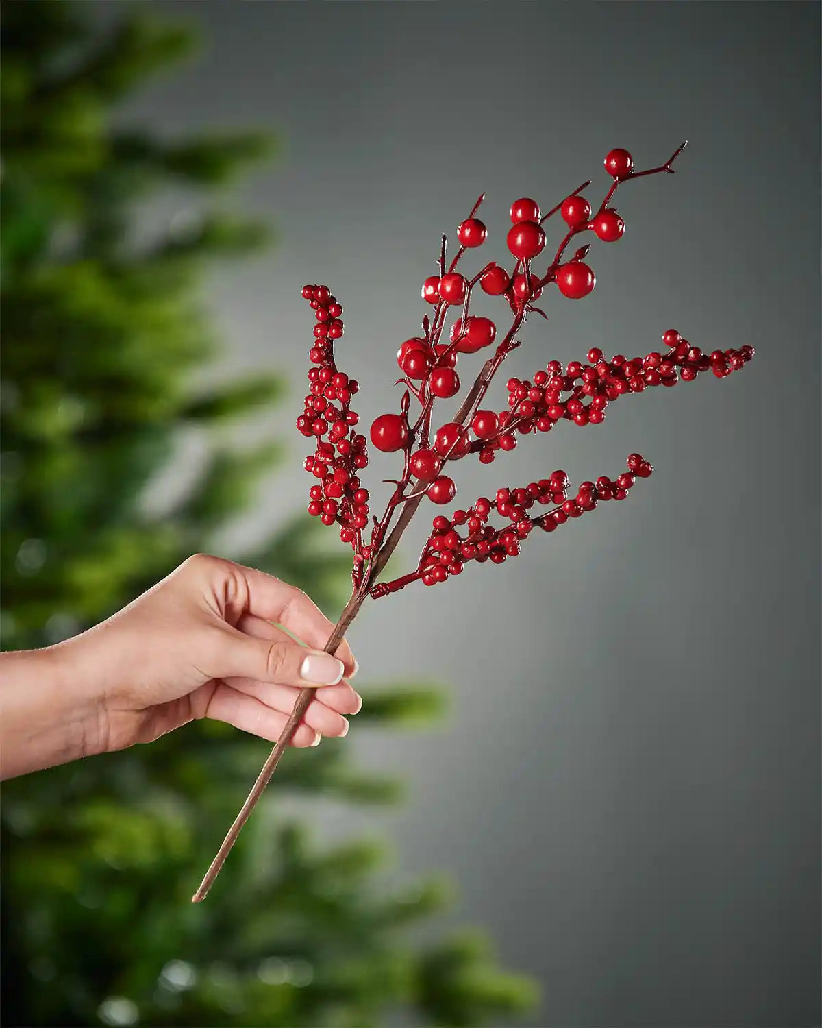 A hand holding the stem of the red berries spray in front of a Christmas tree and grey wall background