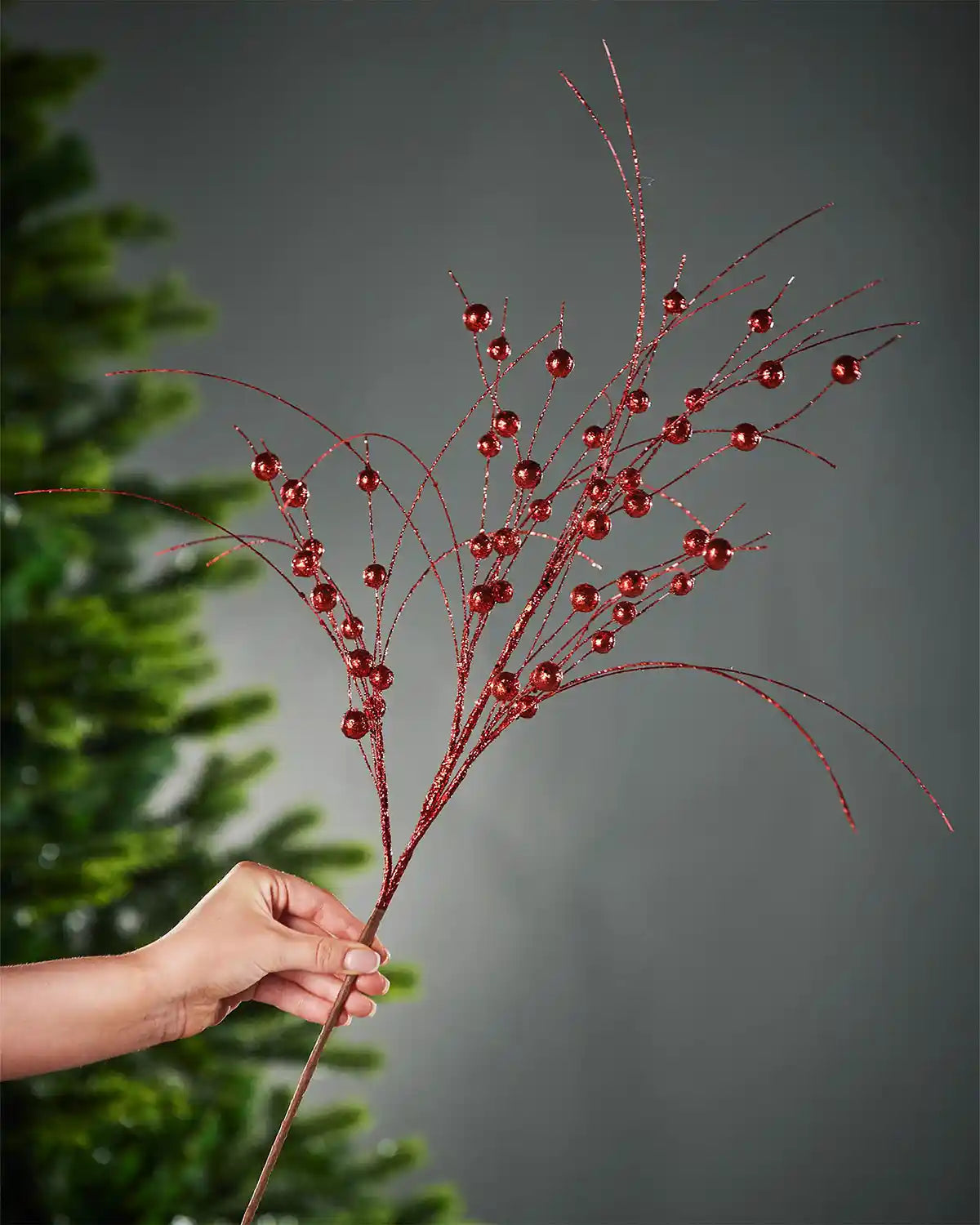 A hand holding the stem of the red glitter berry spray in front of Christmas tree and grey wall background