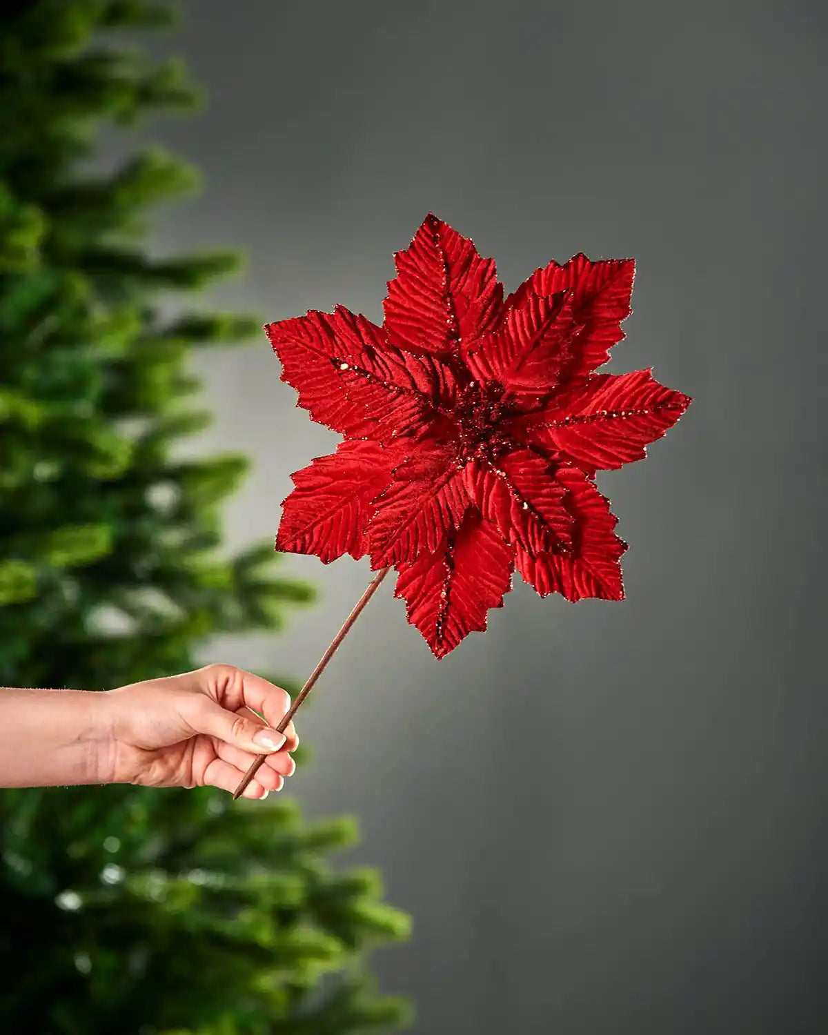 A hand holding the stem of a red glitter-trim artificial poinsettia flower in front of a Christmas tree and grey wall background