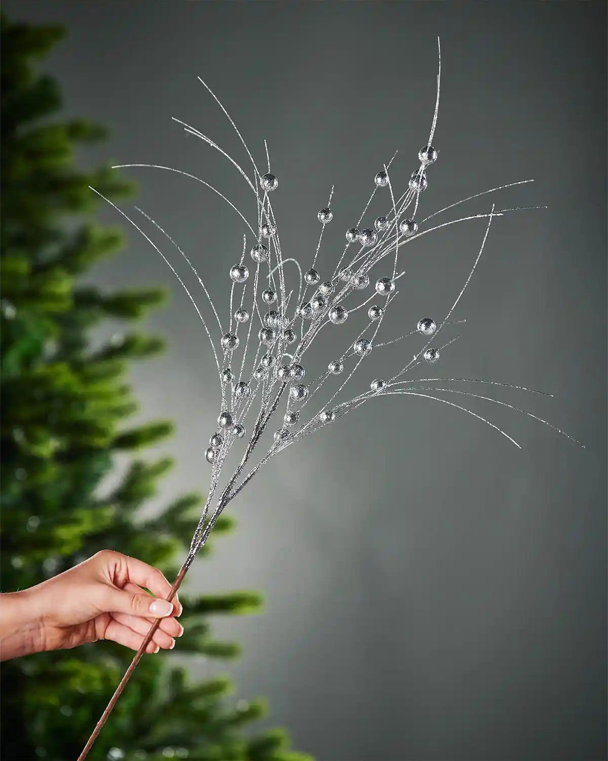 A hand holding the stem of silver glitter berries spray in front of Christmas tree and grey wall background