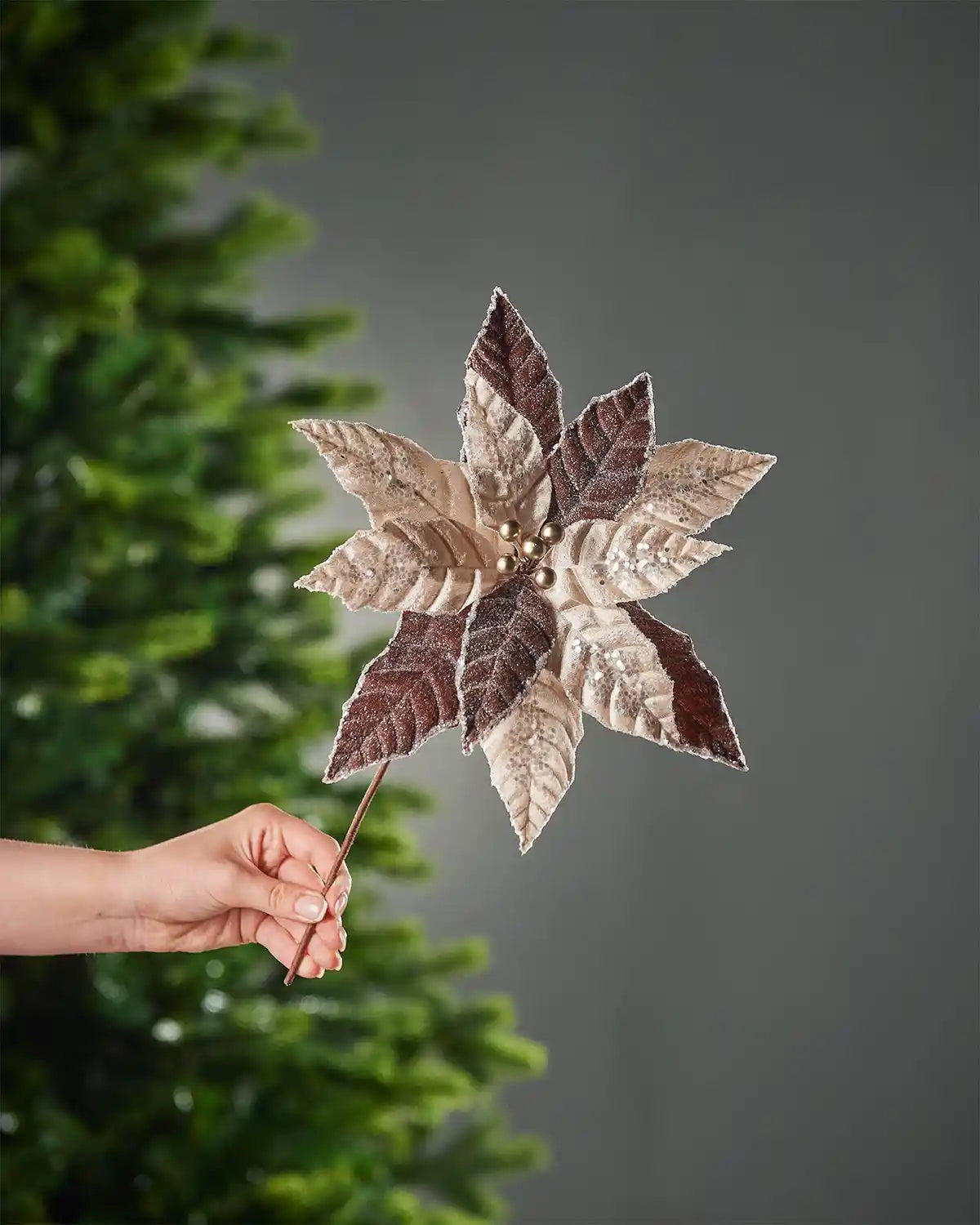 A hand holding the stem of the two-tone brown and beige glitter artificial poinsettia flower in front of a Christmas tree and grey wall background