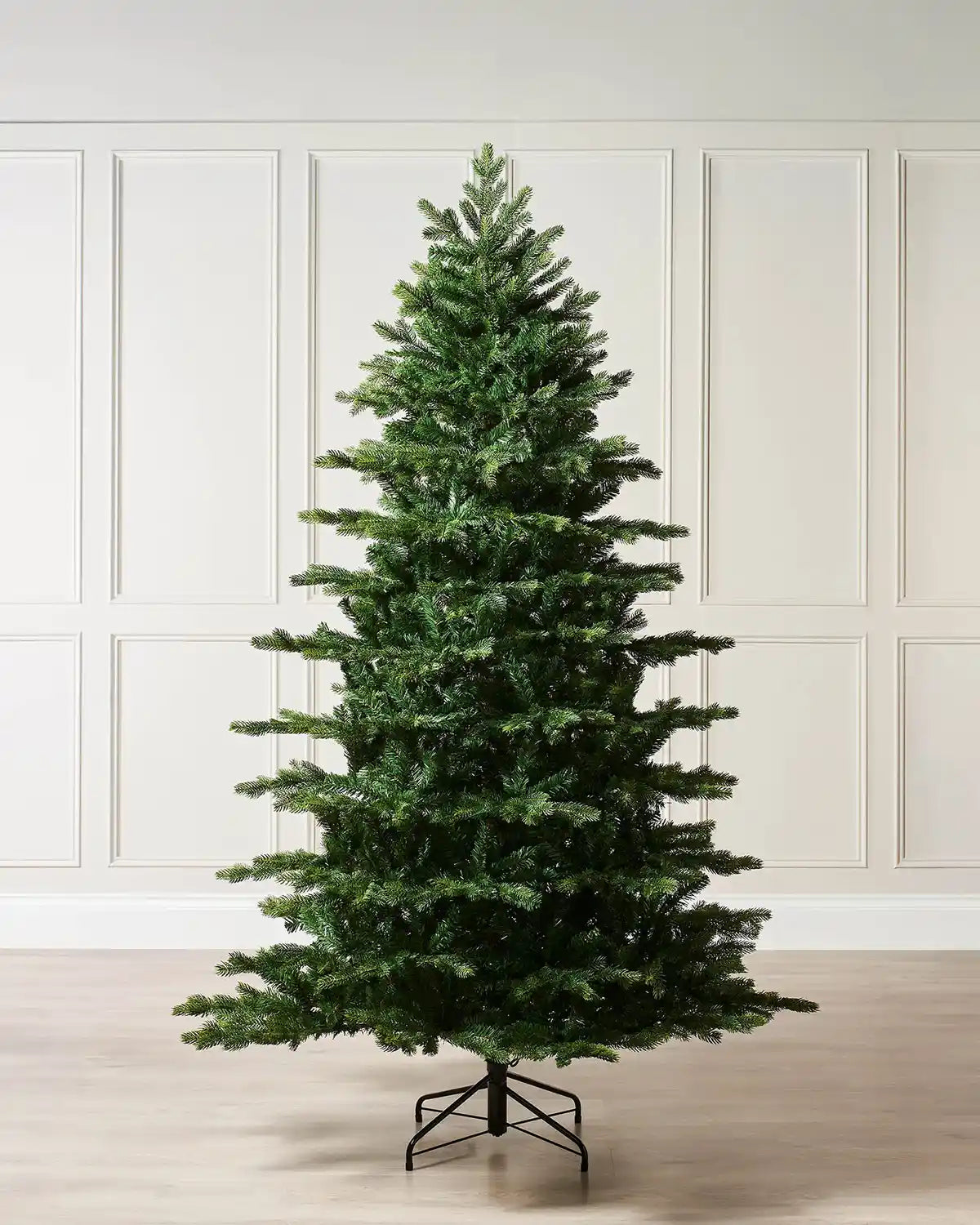 Himalayan Fir Christmas Tree, 6ft against a cream panel back ground 