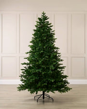Himalayan Fir Christmas Tree, 7ft, against a cream panel background