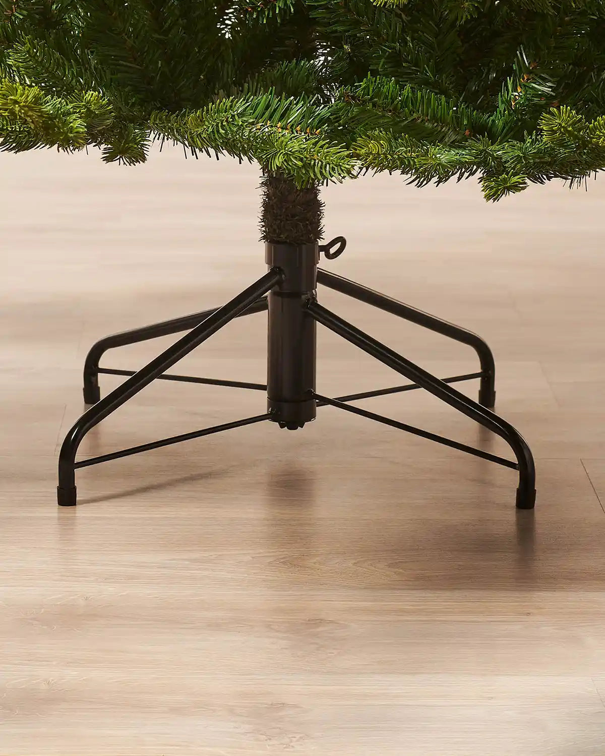 Himalayan Fir Christmas Tree, 8ft with black stand on a wooden floor.