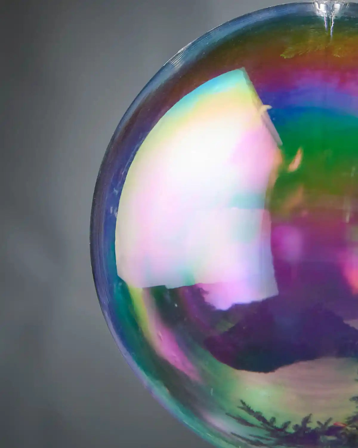 Iridescent Christmas ball ornament hanging on a tree branch with a blurred background