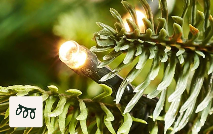 <strong>400 Warm White LEDs</strong>