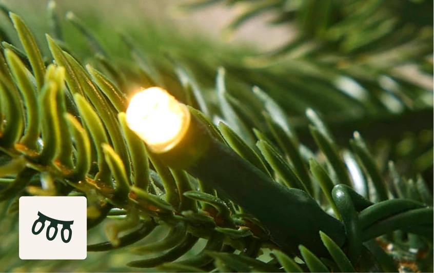 <strong>600 Warm White LEDs</strong>