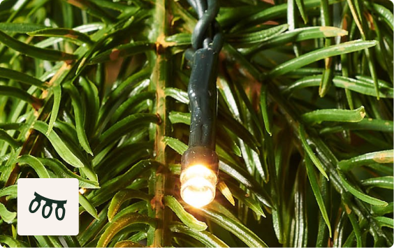 500 Warm White LEDs