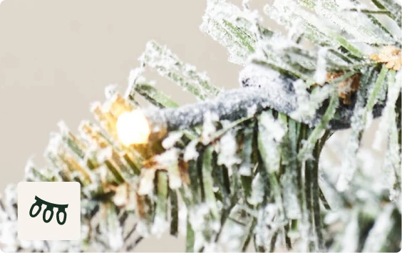 250 Warm White LEDs