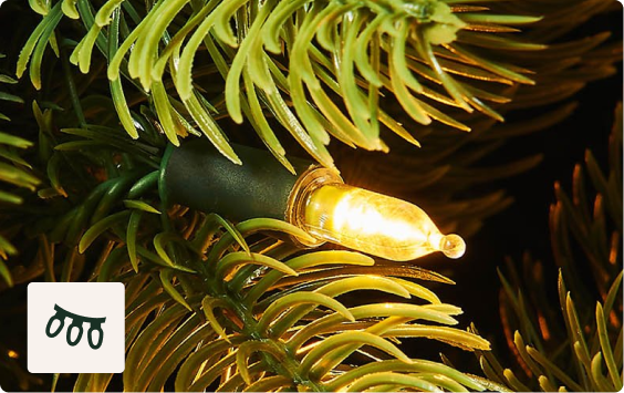  610 Warm White LEDs