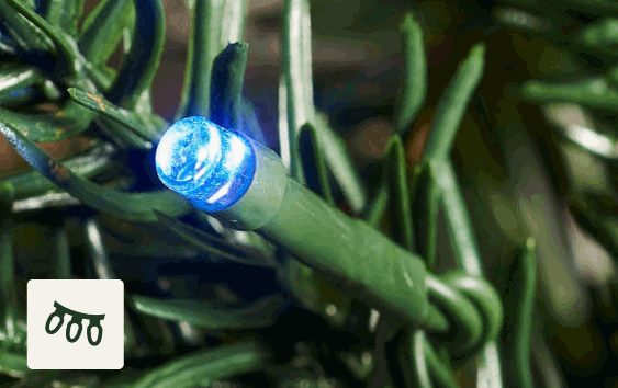 500 Dual LEDs
