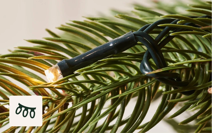 <strong>300 Warm White LEDs</strong>