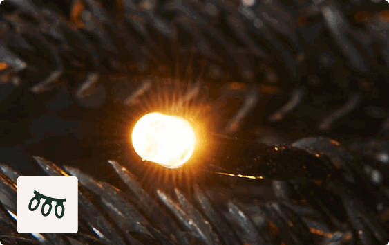 500 Warm White/Cool White Dual LEDs