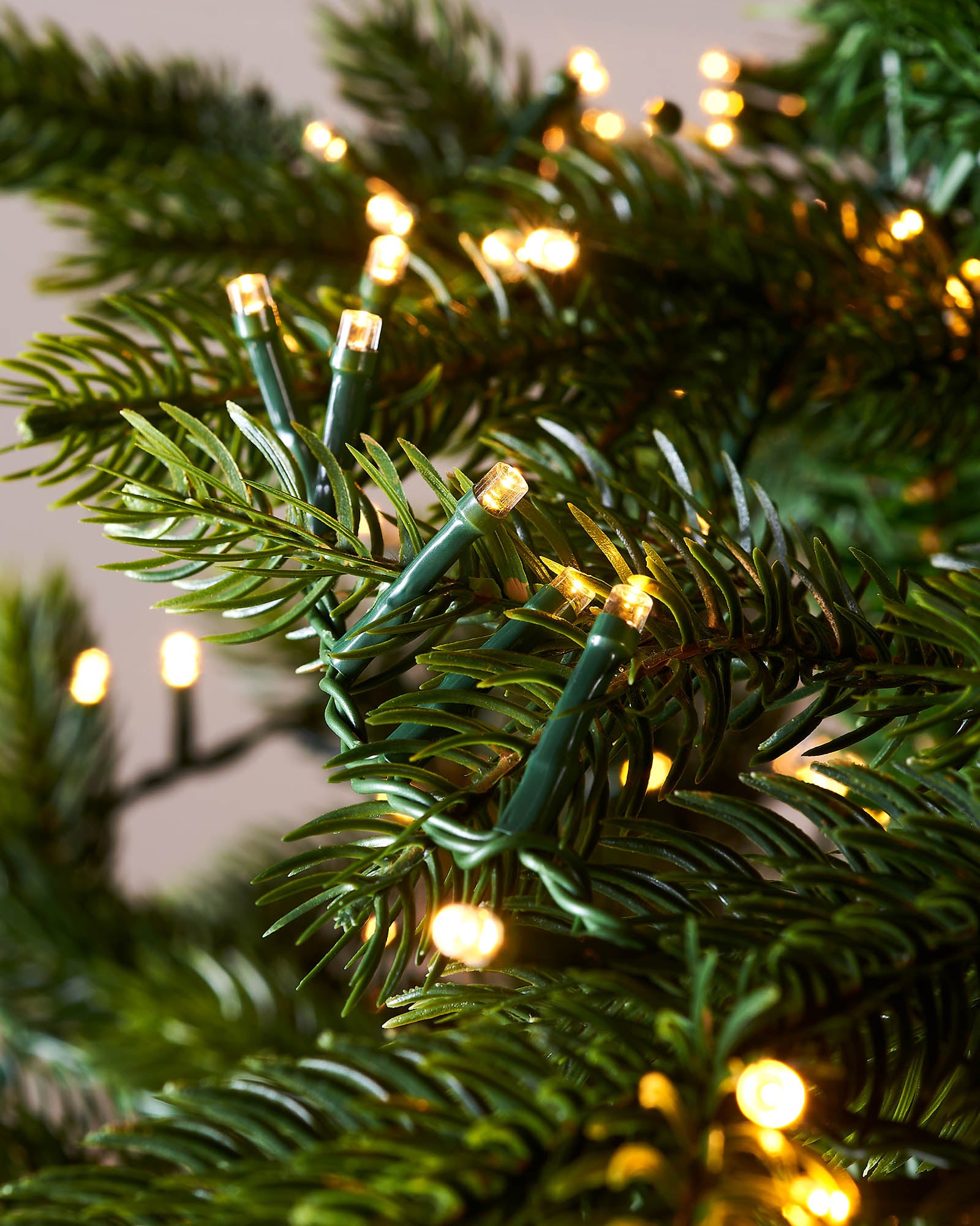 Close-up of Christmas tree lights on green branches.