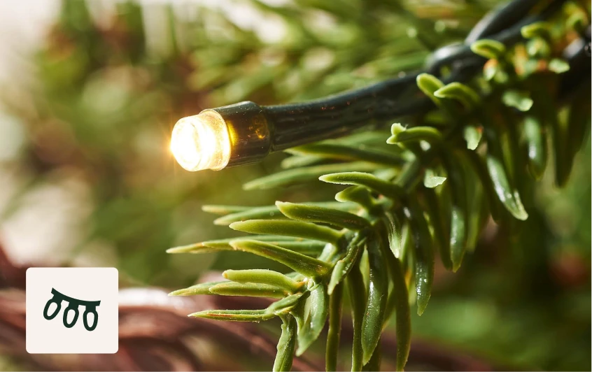 <strong>200 warm white LEDs</strong>
