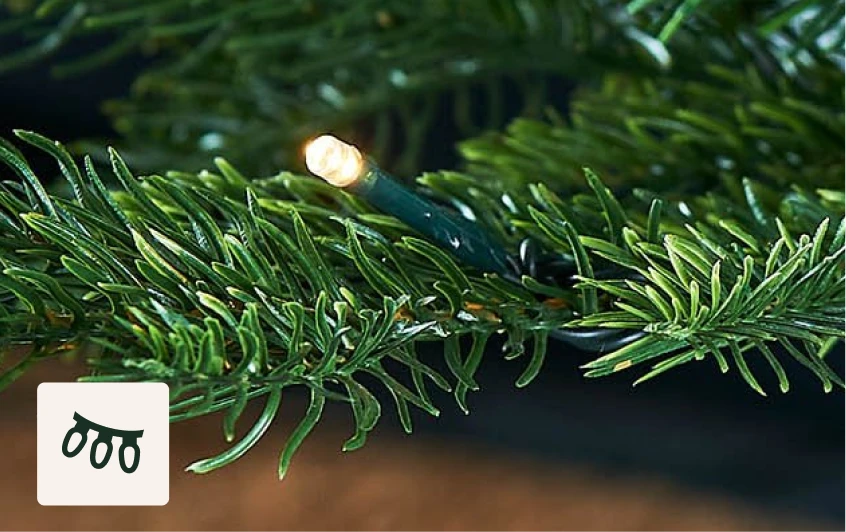 <strong>100 warm white LEDs</strong>