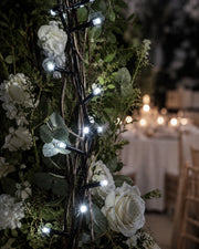 Pro Series Connectable Wedding String Lights, White