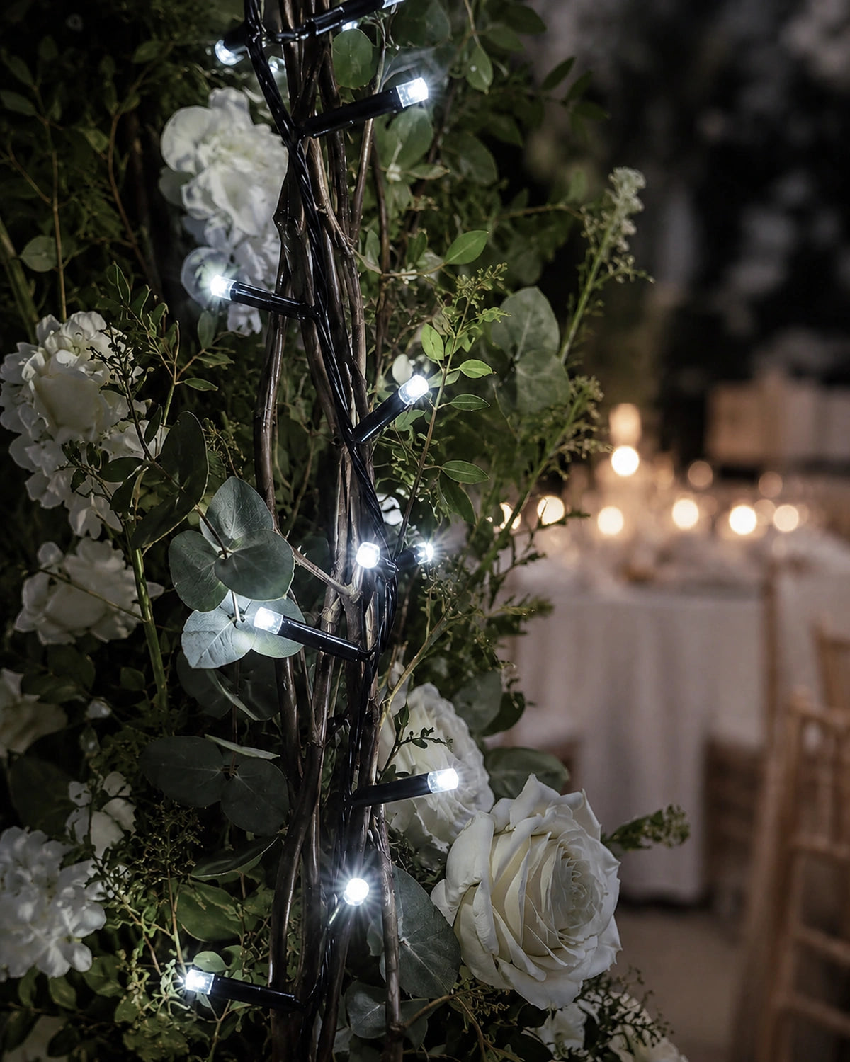 Pro Series Connectable Wedding Twinkle String Lights, White