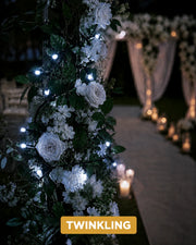 Pro Series Connectable Wedding Twinkle String Lights, White